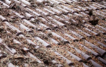 Nine Wells roof cleaning companies